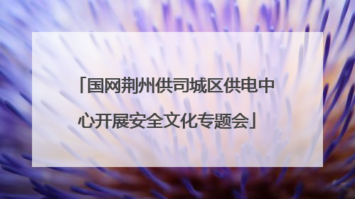 国网荆州供司城区供电中心开展安全文化专题会